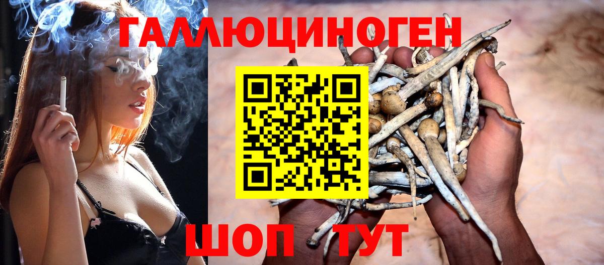 Псилоцибиновые грибы Psilocybine cubensis  Галлюциногенные грибы MAGIC MUSHROOMS  Трёхгорный  Вход с VPN 